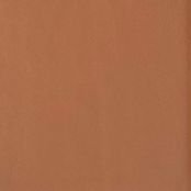 Caramel Genuine leather — Caramel